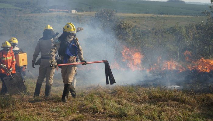  Chuvas e conscientização da população reduzem em 41% incêndios florestais no Paraná